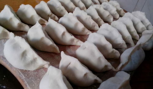 冰箱存餃有妙招，簡單一步保鮮月余